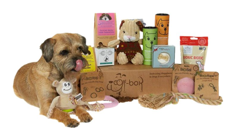 dog box uk