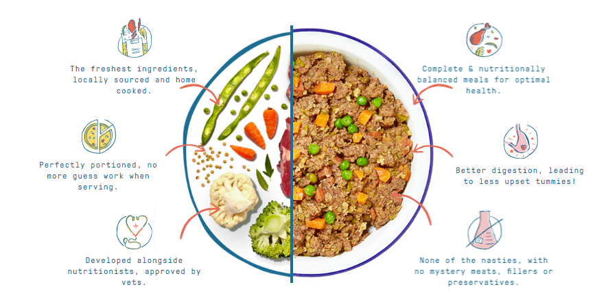 Butternut box 2025 dog food cost