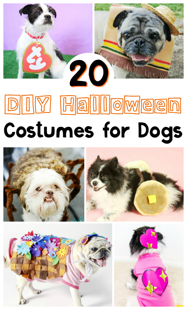 Arte you looking for a cute costume for your lovable pooch, check out these amazing DIY Halloween costumes for dogs to give you inspiration for your favourite furry friend